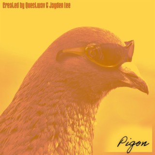 Pigon