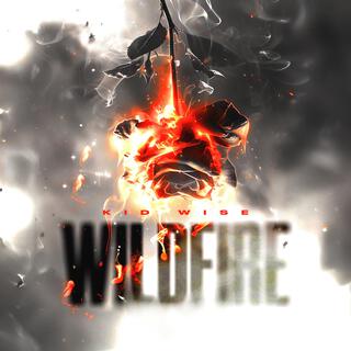 WildFire