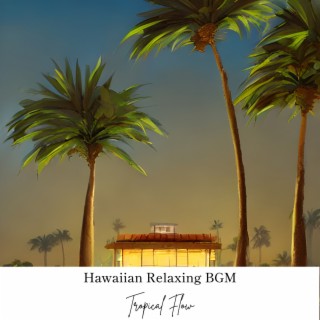 Hawaiian Relaxing BGM