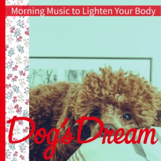 Morning Music to Lighten Your Body
