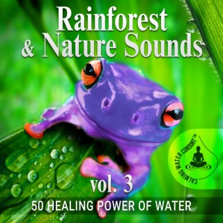 Rainforest & Nature Sounds Vol. 3: 50 Healing Power of Water (Rain, River, Ocean and Sea) Music for Sleep and Relaxation, Free Your Mind & Relax Better, Deep Waves Meditation