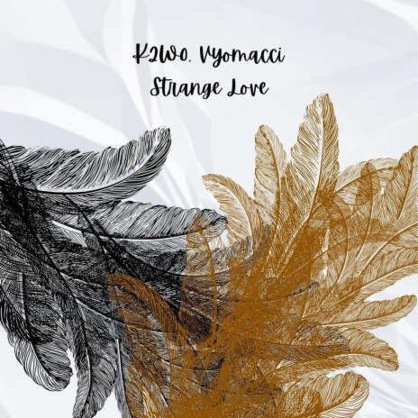 Strange Love ft. Vyomacci | Boomplay Music