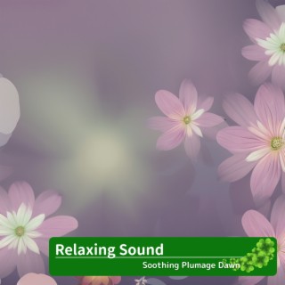Relaxing Sound