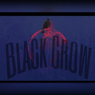 Black Crow