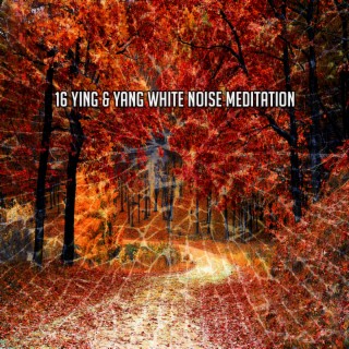 16 Ying & Yang White Noise Meditation