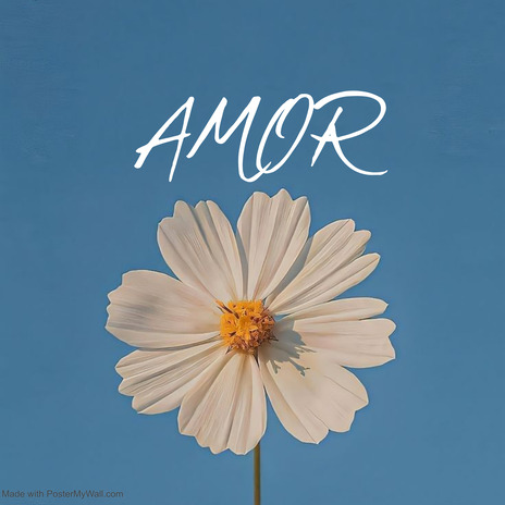 Amor | Boomplay Music