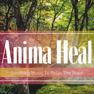 Soothing Music To Relax The Brain