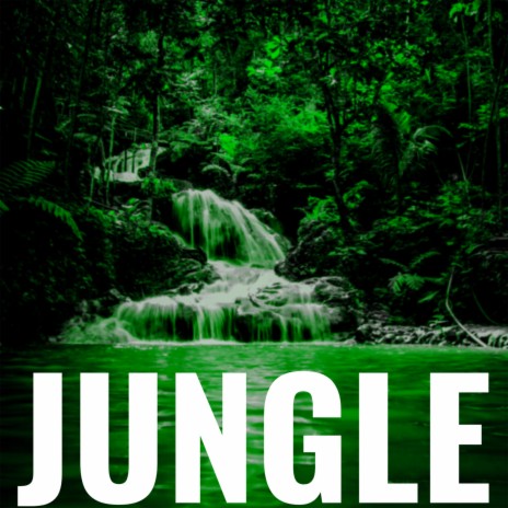 JUNGLE | Boomplay Music