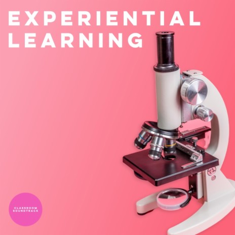 Experiential Learning | Boomplay Music