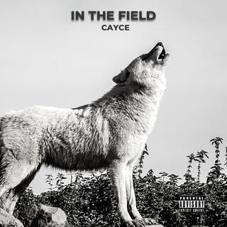 In The Field lyrics | Boomplay Music