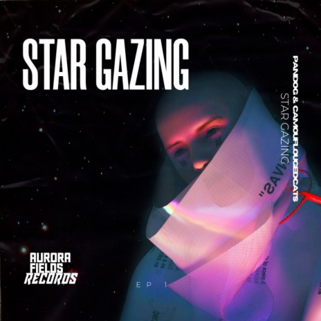 Star Gazing ft. Camouflaged Cats | Boomplay Music