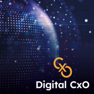 Digital CxO Podcast, Ep. 9 - Digital Dangers