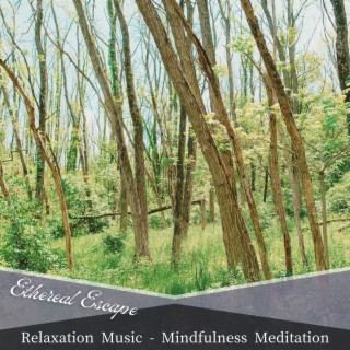 Relaxation Music - Mindfulness Meditation