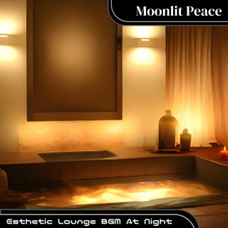 Esthetic Lounge BGM At Night