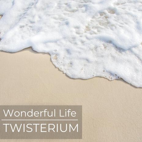 Wonderful Life | Boomplay Music