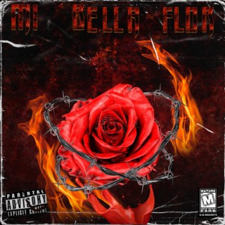 MI BELLA FLOR lyrics | Boomplay Music