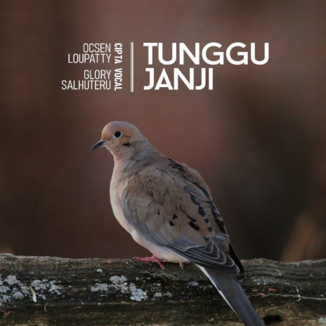 Tunggu Janji | Boomplay Music