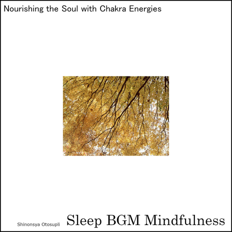 Mental Tranquility with Deep Sleep and Soundscapes