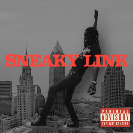 Sneaky Link | Boomplay Music