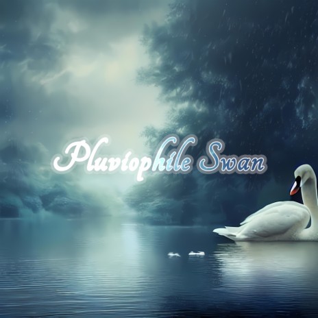 Pluviophile Swan