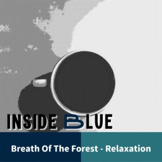Breath Of The Forest - Relaxation