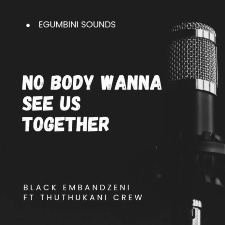 Nobody Wanna See us Together ft. Thuthukani Crew | Boomplay Music