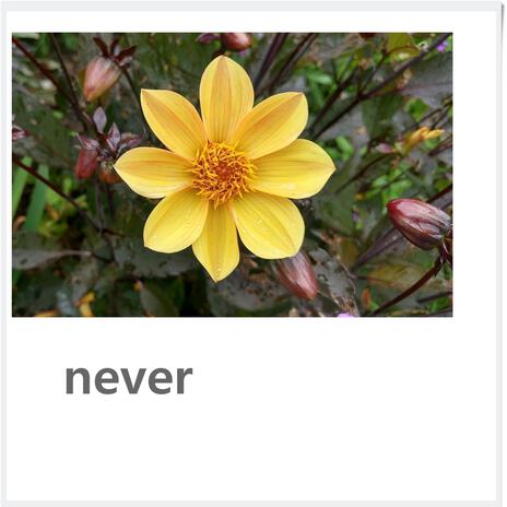 never