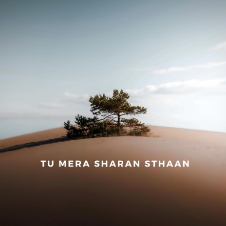 Tu Mera Sharan Sthaan (Radio Edit) | Boomplay Music