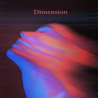 Dimension