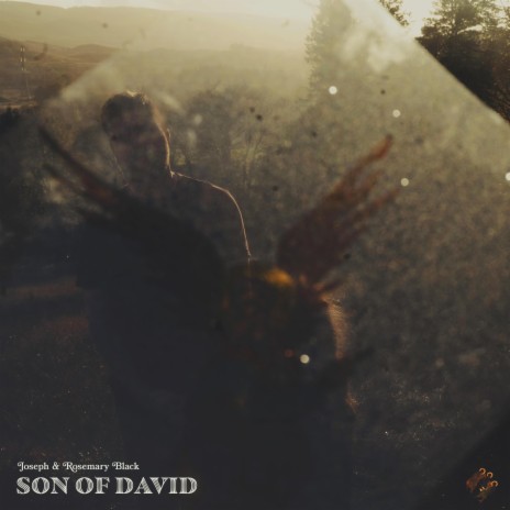 Son of David | Boomplay Music