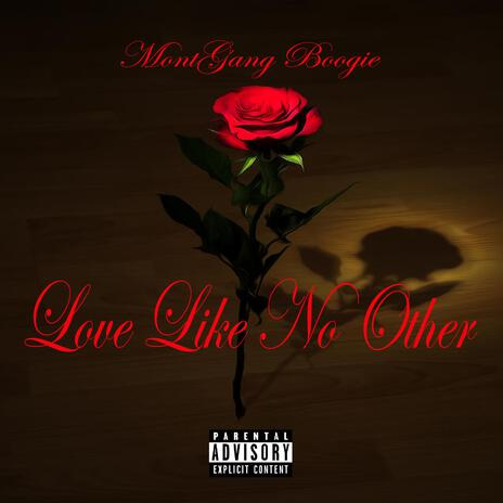 Love Like No Other | Boomplay Music