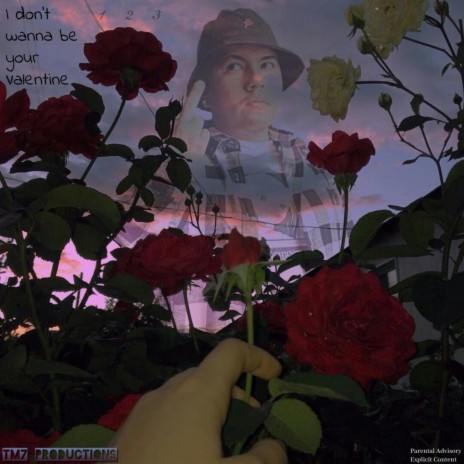 i don't wanna be your valentine 3