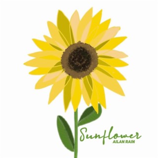 Sunflower lyrics | Boomplay Music