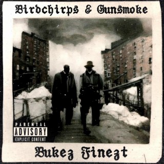 Birdchirps & Gunsmoke