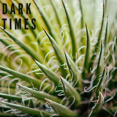 Dark Times | Boomplay Music