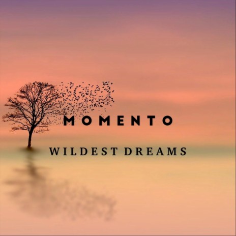 Wildest Dreams | Boomplay Music