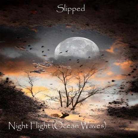 Night Flight (Ocean Waves)