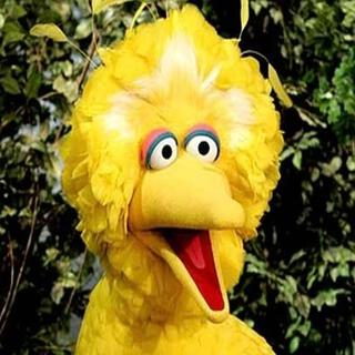 Big Bird