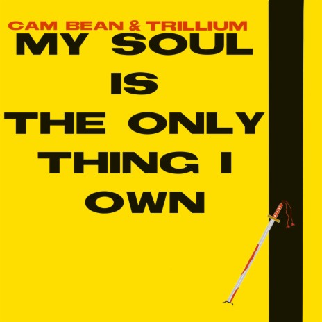 my soul is the only thing i own ft. Cam Bean | Boomplay Music