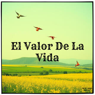 El Valor De La Vida