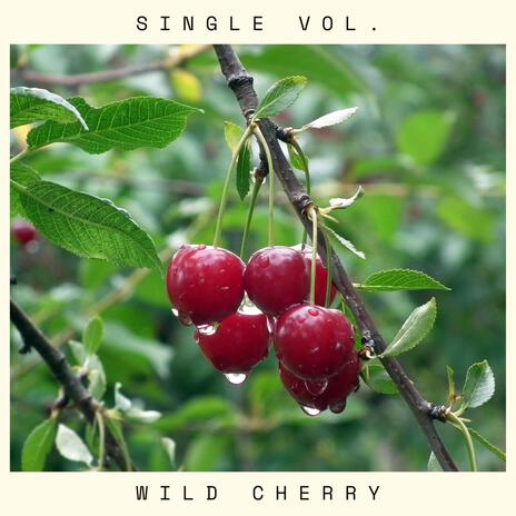 Wild Cherry (Sped Up) | Boomplay Music