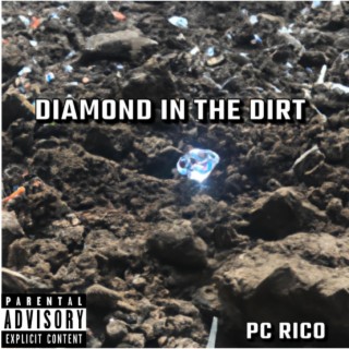 Diamond In The Dirt