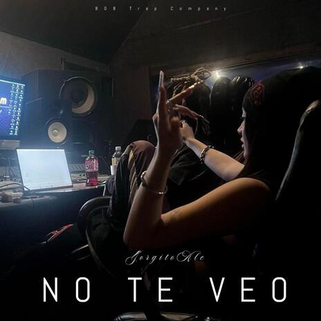 NO TE VEO