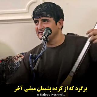 برگرد که از کرده پشیمان میشی آخر