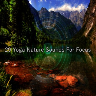 29 Yoga Nature Sounds For Focus