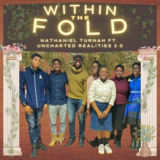Within The Fold (Remix Version)
