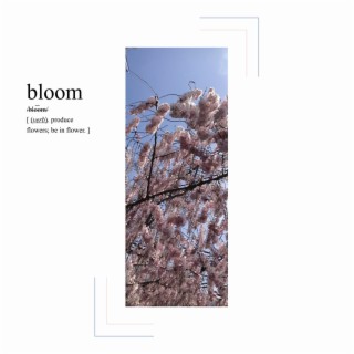 bloom