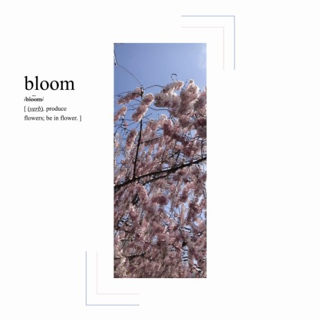 bloom | Boomplay Music