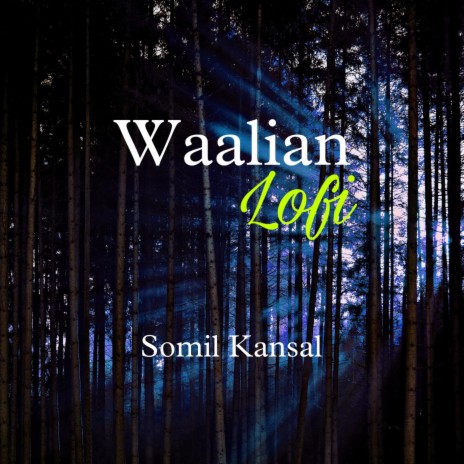 Waalian (Lofi) ft. Somil kansal | Boomplay Music