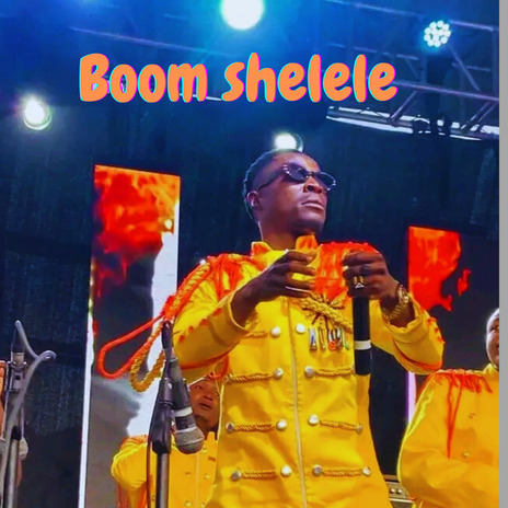 Boom Shelele | Boomplay Music